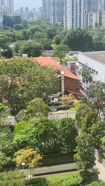 For Rent - 11 Holland Drive