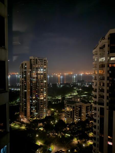 Night View