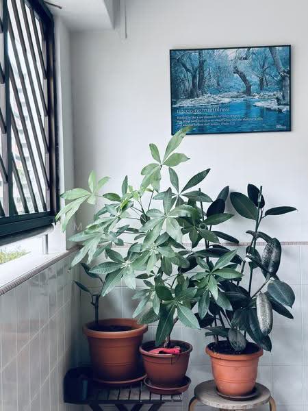 103 Pasir Ris Street 12, 103 Pasir Ris Street 12, Pasir Ris / Tampines, 3 Bedrooms, 1,312 sqft, HDB Flat For Sale, by Maria Loh, 25585650 - Balcony - PropertyGuru.com.sg