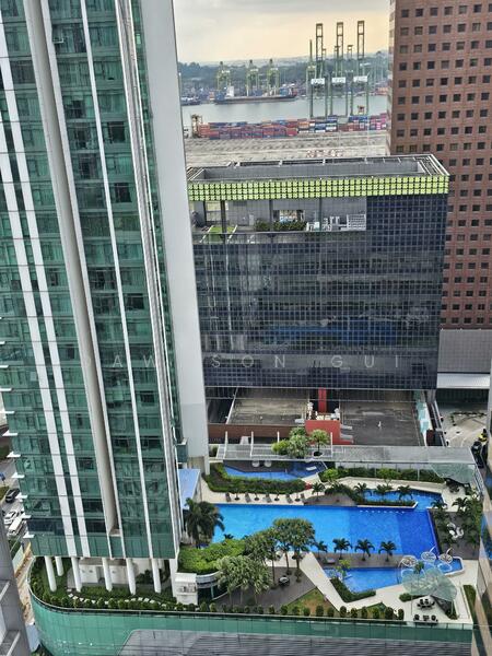 Pool View from living room