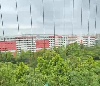 For Sale - The Canopy