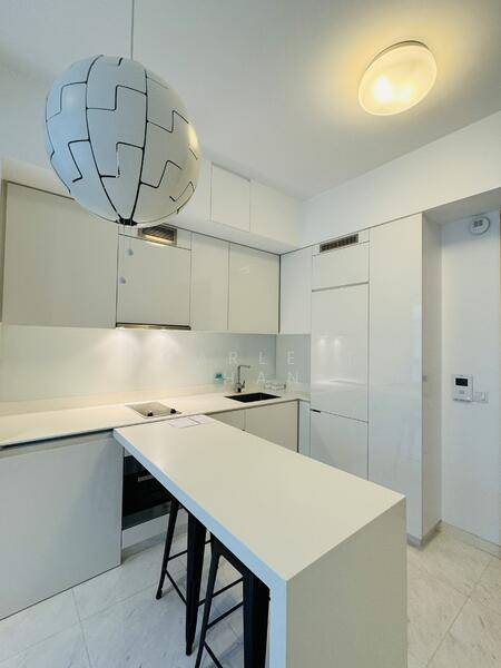 RV Residences, 465 River Valley Road, 1 Bedroom, 420 sqft, Condominium For Sale, by Scarlett Chan, 25590483 - Kitchen - PropertyGuru.com.sg