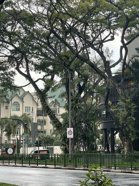 Blk 326 Woodlands Streets 32 S730326, Woodlands, 1,475 sqft, Shop / Shophouse For Sale, by Jaine Lidu, 25590504 - CommercialGuru.com.sg