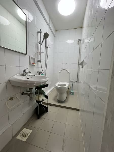 The Regalia, 2 River Valley Close, Room Rental, 80 sqft, Apartment For Rent, by James Lee, 25590855 - Bathroom - PropertyGuru.com.sg