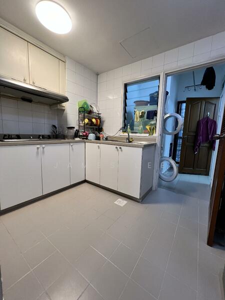 The Regalia, 2 River Valley Close, Room Rental, 80 sqft, Apartment For Rent, by James Lee, 25590855 - Kitchen - PropertyGuru.com.sg