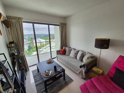 For Sale - Skies Miltonia