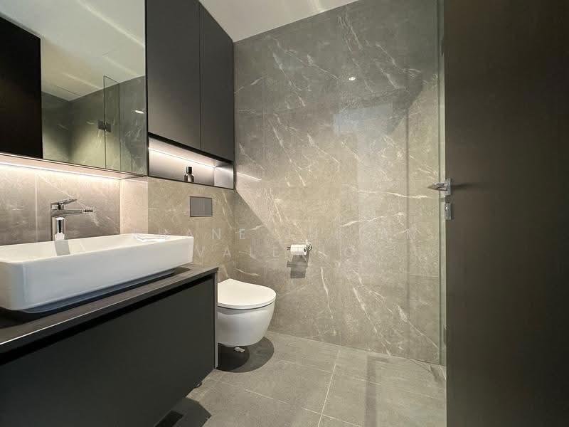 Irwell Hill Residences, 2 Irwell Hill, Orchard / River Valley, 2 Bedrooms, 657 sqft, Condominium For Rent, by Shane Julian Valerio, 25591405 - Common bathroom - PropertyGuru.com.sg