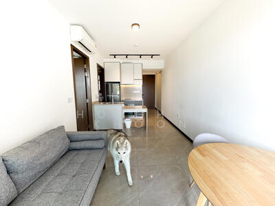 For Sale - Normanton Park