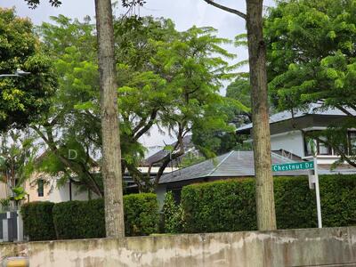 For Sale - Chestnut Crescent