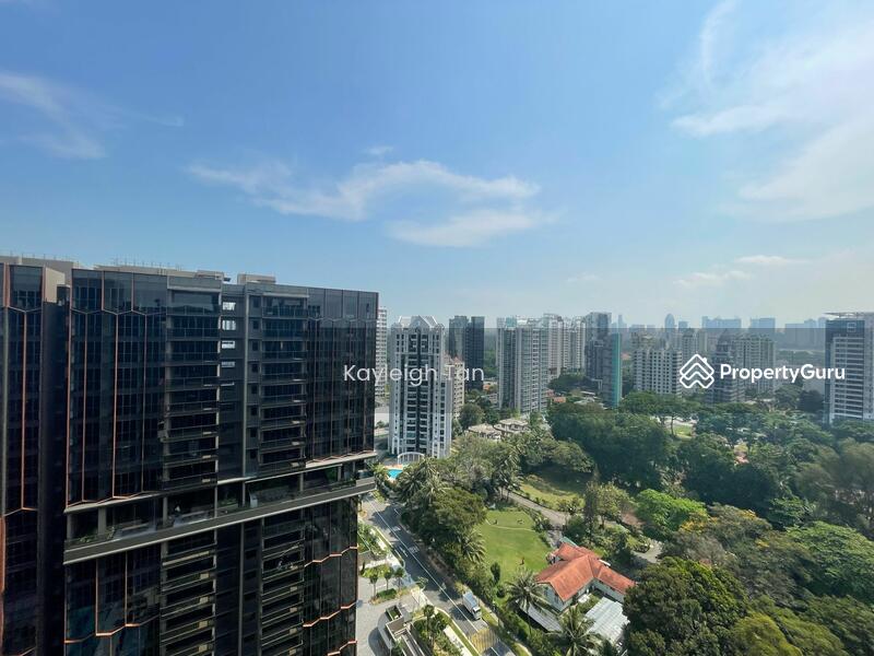 View From Balcony 