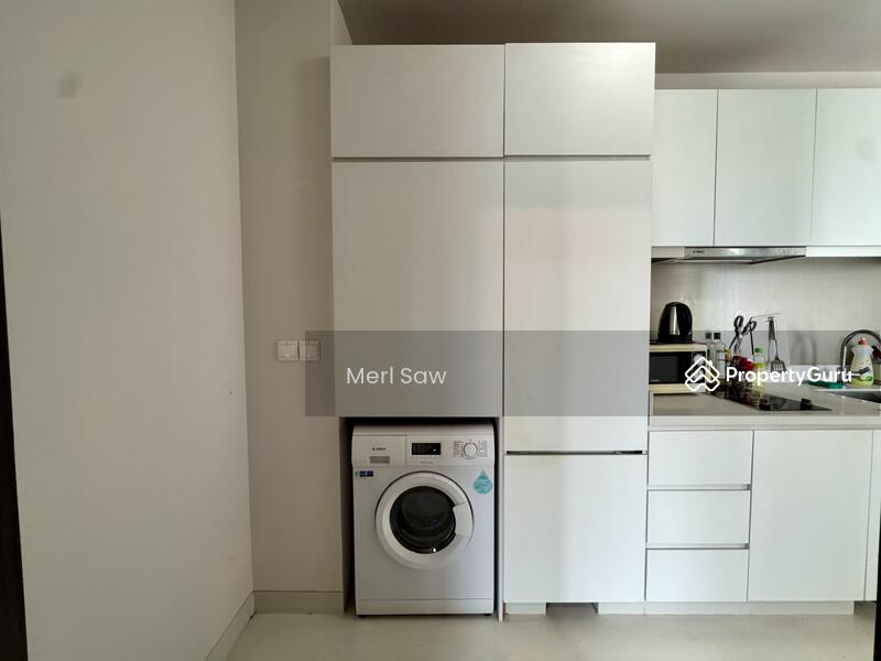 For Sale - Neem Tree