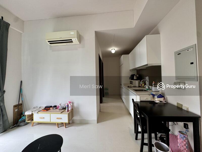 For Sale - Neem Tree