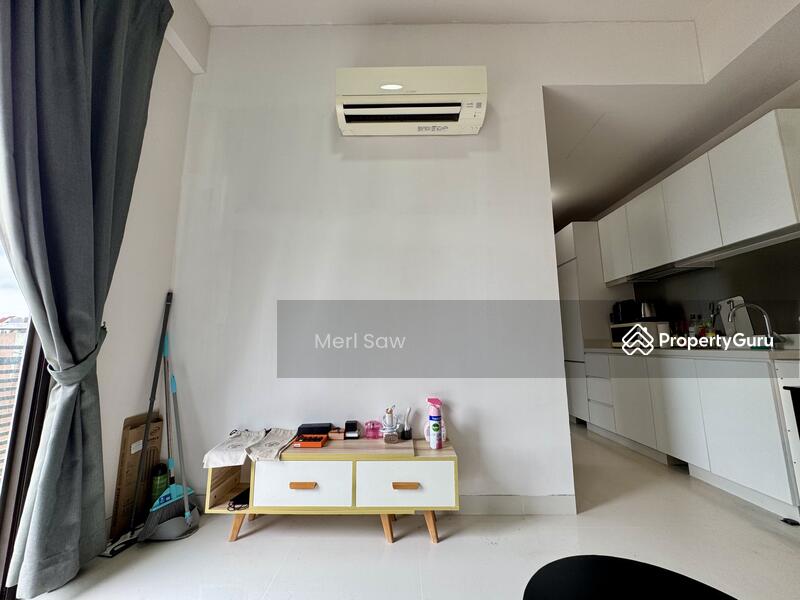 For Sale - Neem Tree