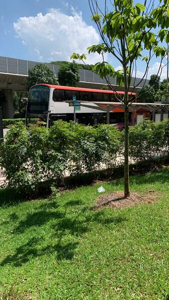 For Rent - 31 Margaret Drive