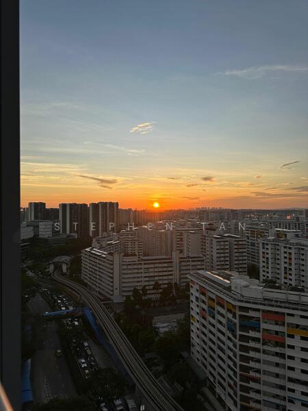 View