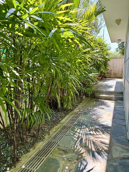 Quiet 3 storey Semi-D on siglap, Siglap Road, East Coast / Marine Parade, 5 Bedrooms, 3,528 sqft, Semi-Detached House For Rent, by John Lee, 25599834 - PropertyGuru.com.sg