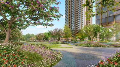 For Sale - Pinetree Hill