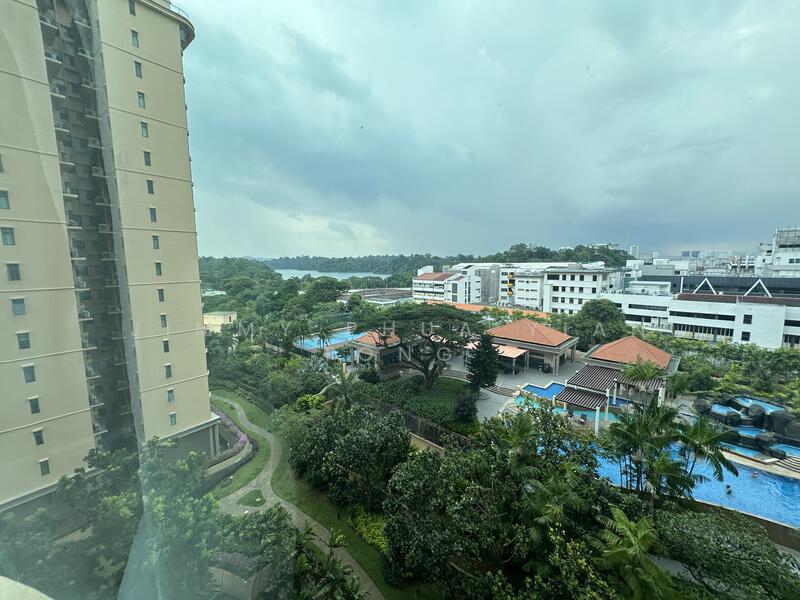 View