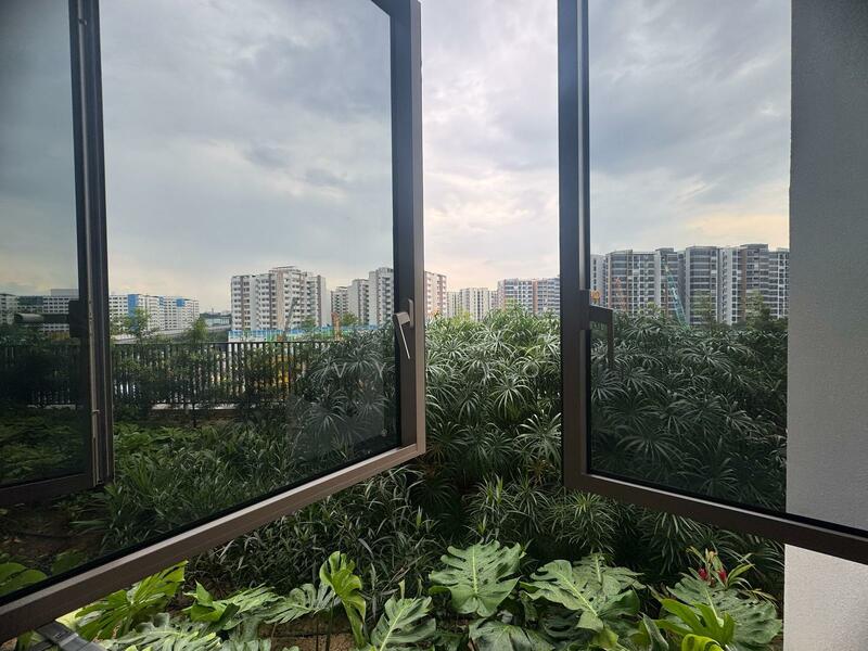 View