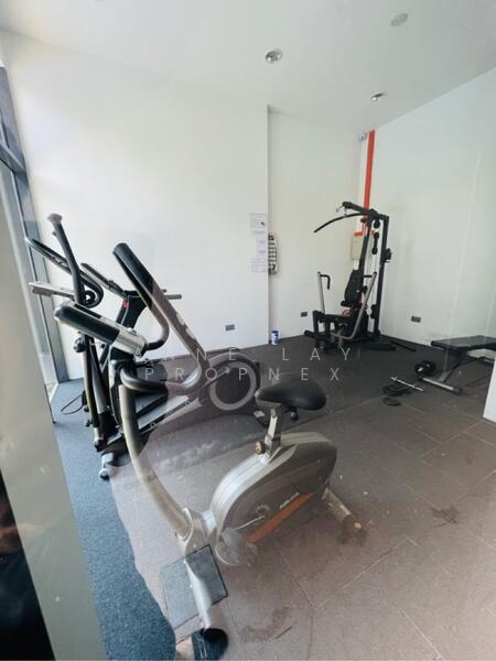 The Serenno, 107 Haig Road, Studio, 200 sqft, Apartment For Rent, by Anne Lay, 25604137 - PropertyGuru.com.sg