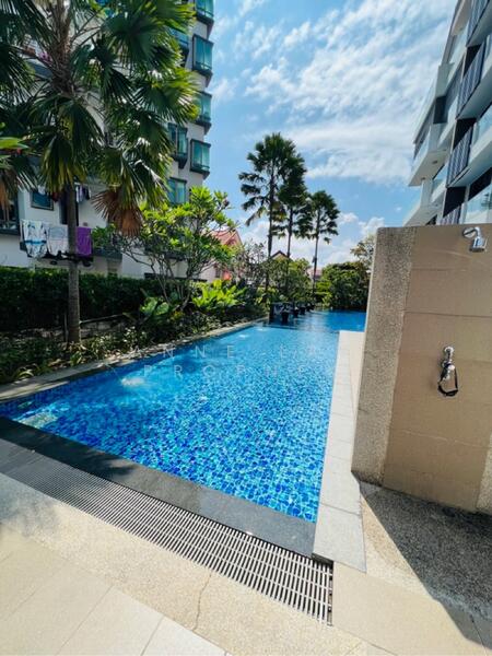 The Serenno, 107 Haig Road, Studio, 200 sqft, Apartment For Rent, by Anne Lay, 25604137 - PropertyGuru.com.sg
