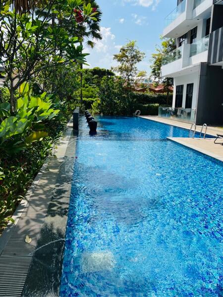 The Serenno, 107 Haig Road, Studio, 200 sqft, Apartment For Rent, by Anne Lay, 25604137 - PropertyGuru.com.sg
