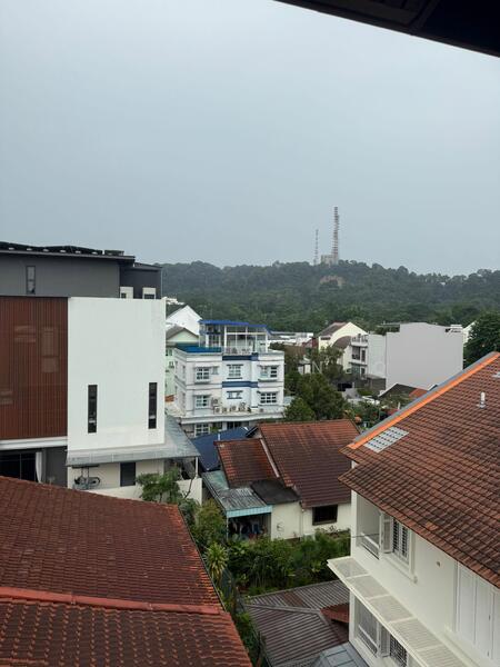 Hua Guan, Sian Tuan, Selanting, Hoover Park, Beauty World Bukit Timah, , 10+ Bedrooms, 7,660 sqft, Semi-Detached House For Sale, by Wilson Neo, 25605052 - View - PropertyGuru.com.sg