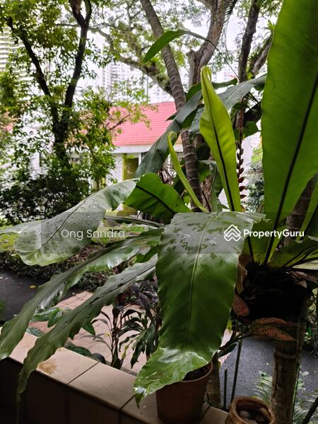 Outside garden 