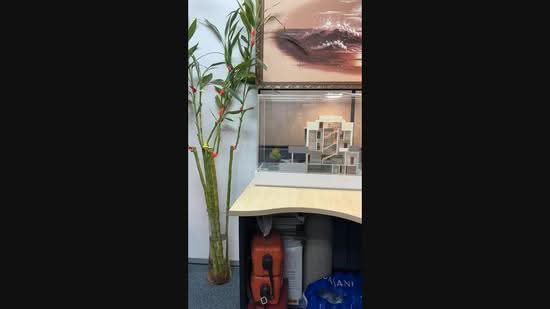 FOR SALE – Rare 3.5-Storey Inter Terrace with Attic & Home Lift at Lengkong Dua, Lengkong Dua, Eunos / Geylang / Paya Lebar, 10+ Bedrooms, 7,878 sqft, Terraced House For Sale, by Samuel Han, 25607724 - PropertyGuru.com.sg