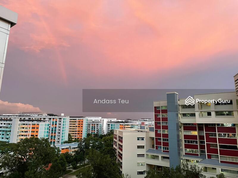 view from the unit