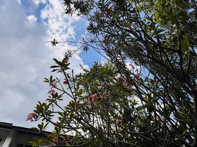 For Sale - ⭐️⭐️ LANDED7772@ Land For Sale ☎️ GL 92787772