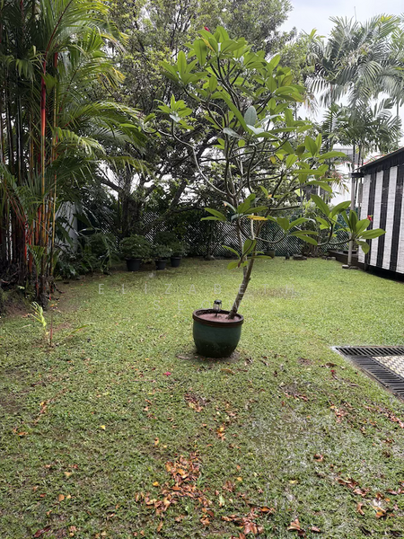 Jalan Ampang, Coronation Road / Coronation Road West / JaLan Ampang, 4 Bedrooms, 4,000 sqft, Detached House For Sale, by Elizabeth Seow, 25609846 - Garden - PropertyGuru.com.sg