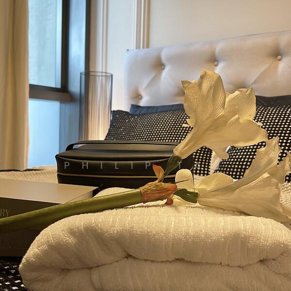 Haus On Handy, 28 Handy Road, 1 Bedroom, 517 sqft, Condominium For Sale, by Philip Tan, 25609870 - PropertyGuru.com.sg