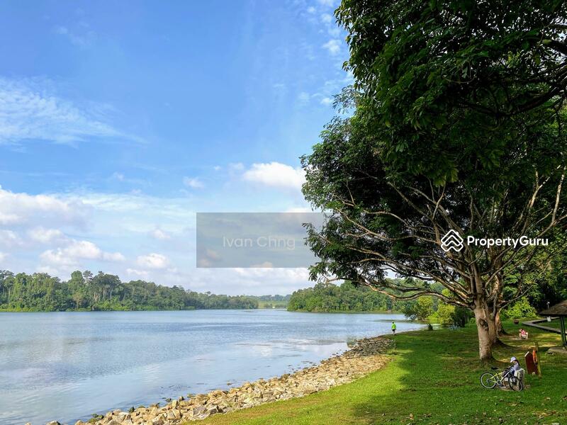 Easy stroll to Lower Peirce Reservoir from your door step