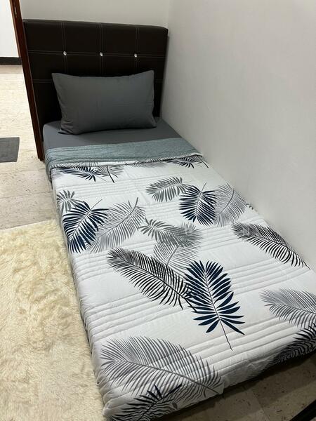 The Anchorage, 370 Alexandra Road, Room Rental, 260 sqft, Condominium For Rent, by Kelvin Chin, 25611077 - PropertyGuru.com.sg