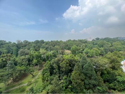 For Sale - Normanton Park