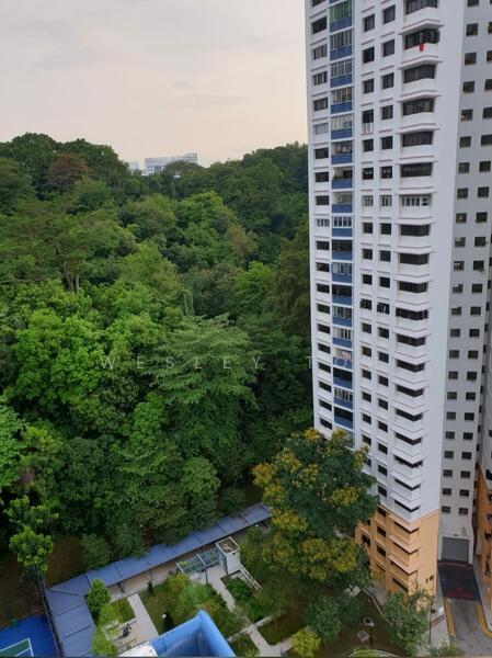 103B Depot Road, 103B Depot Road, 3 Bedrooms, 1,076 sqft, HDB Flat For Rent, by Wesley Toh, 25613968 - View - PropertyGuru.com.sg