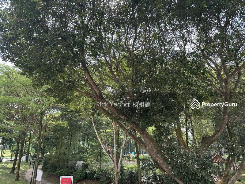 For Sale - 469 Jurong West Street 41