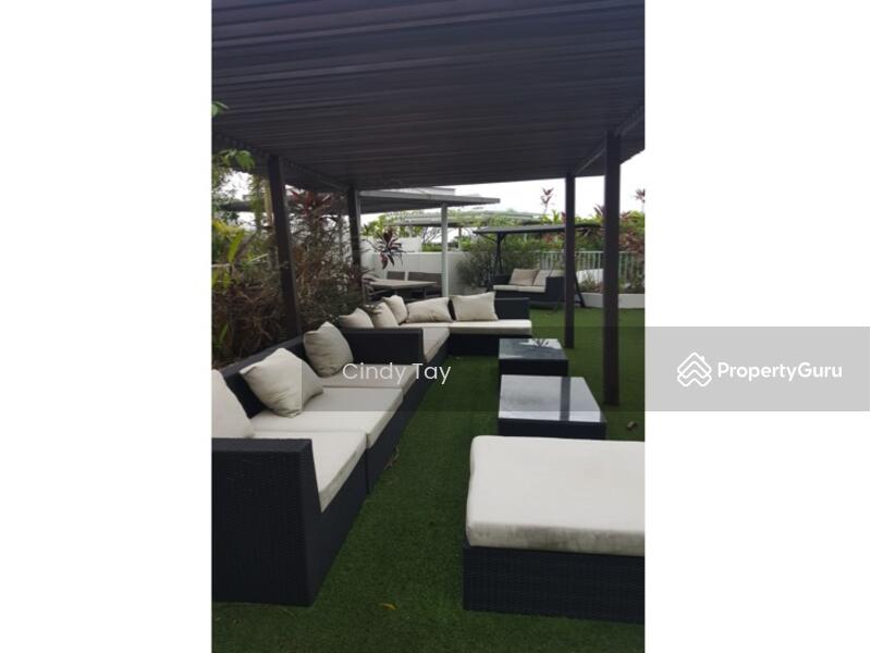 Roof Garden