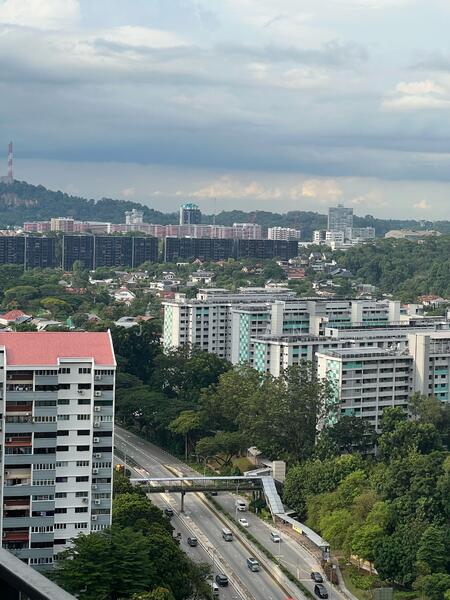 View