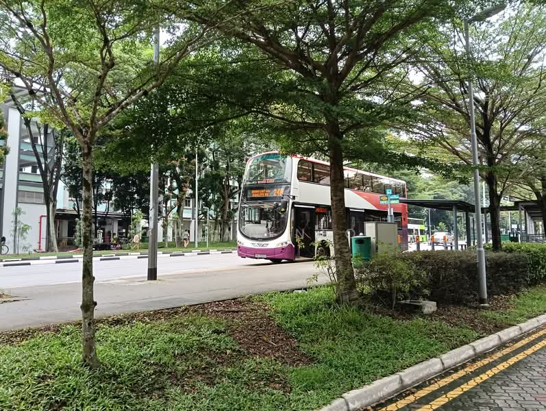 138D Yuan Ching Road, 138D Yuan Ching Road, 2 Bedrooms, 721 sqft, HDB Flat For Rent, by Alan Neo, 25620162 - Bus stop - PropertyGuru.com.sg
