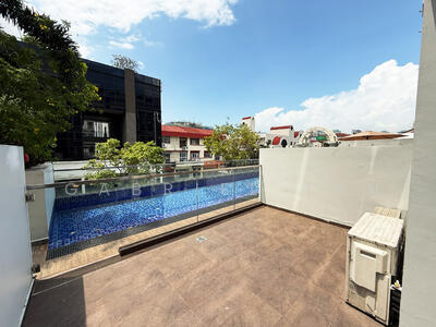 For Sale - Sycamore Tree