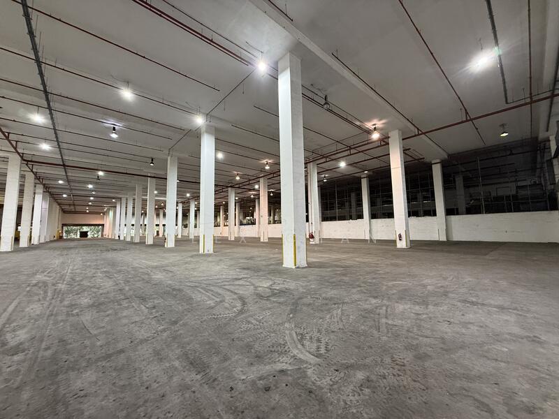 ⭐️Pioneer⭐️ | 11m | Can Upgrade Electric| Ramp Up | Loading Bays, Pioneer, 52,000 sqft, Warehouse For Rent, by Alex Chan, 25624354 - CommercialGuru.com.sg