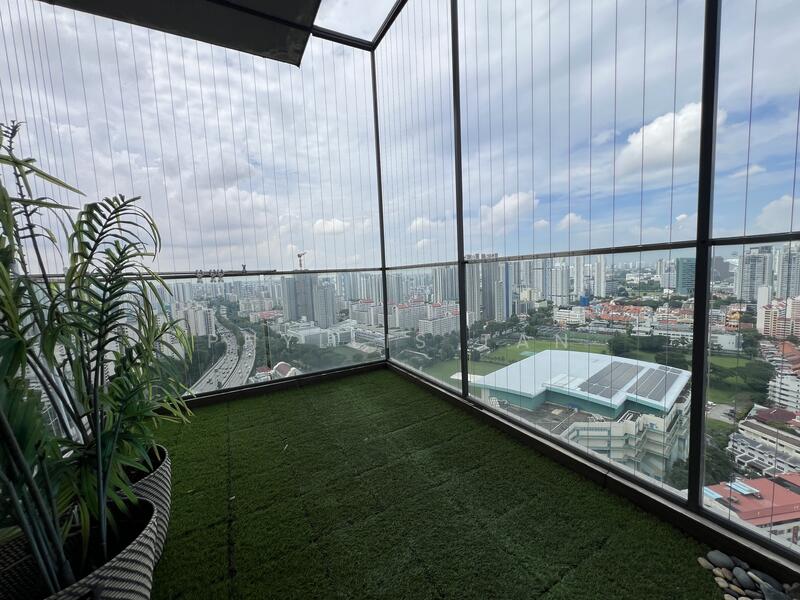 Roof Terrace