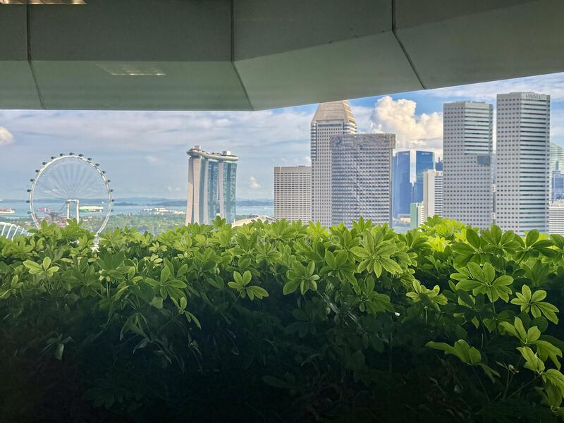 The Concourse, 300 Beach Road, 1,302 sqft, Office For Rent, by Alan Koh, 25626043 - CommercialGuru.com.sg