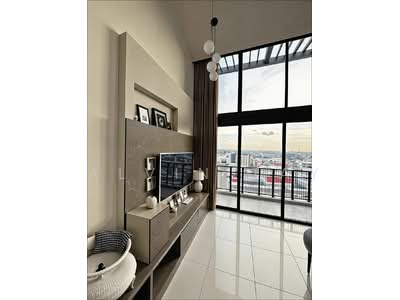 For Sale - The Rainforest