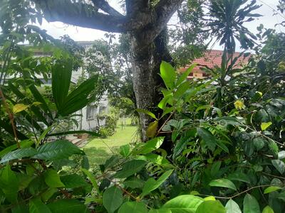 For Sale - Camden Park