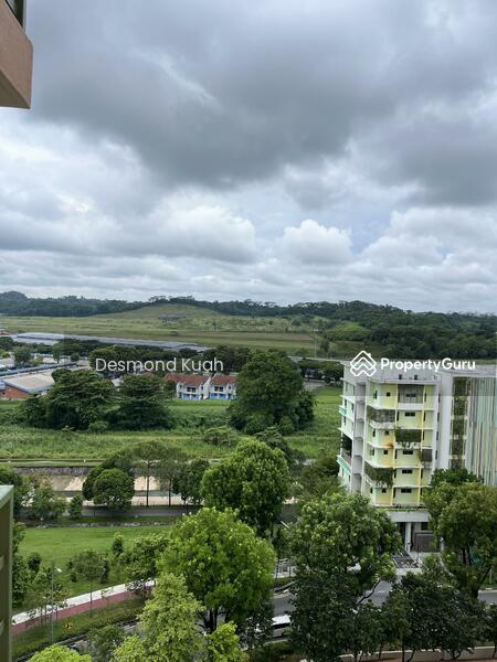 For Sale - Yew Mei Green