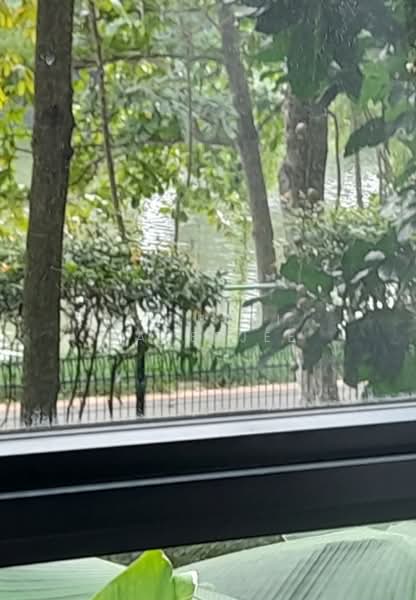 Kingsford Waterbay, 66 Upper Serangoon View, 2 Bedrooms, 689 sqft, Condominium For Rent, by Shibani Banerjee, 25630422 - PropertyGuru.com.sg