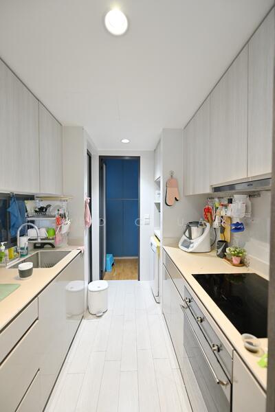 The Clement Canopy, 18 Clementi Avenue 1, 3 Bedrooms, 1,109 sqft, Condominium For Sale, by Ted Chua, 25630591 - Wet Kitchen - PropertyGuru.com.sg